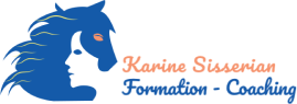 Karine Couleurs et Logo validés - Plan de travail PSD 1